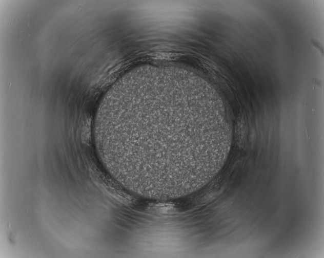 X0000102230554200808221310