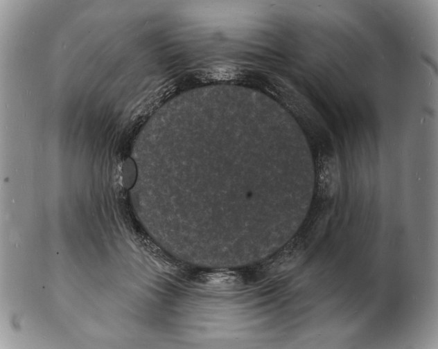X0000102230555200808221310