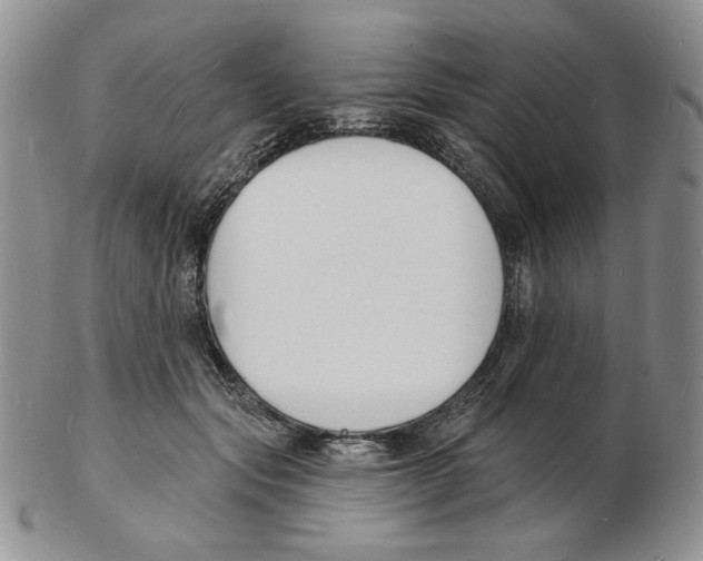 X0000102230557200808221310