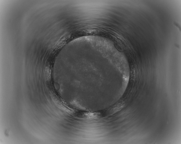 X0000102230558200808221310