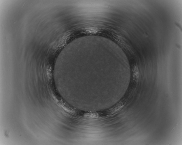 X0000102230559200808221310