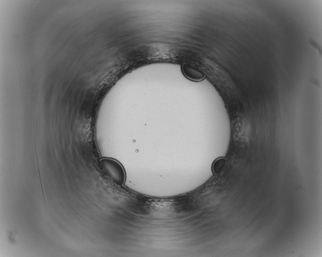 X0000102230560200808221310