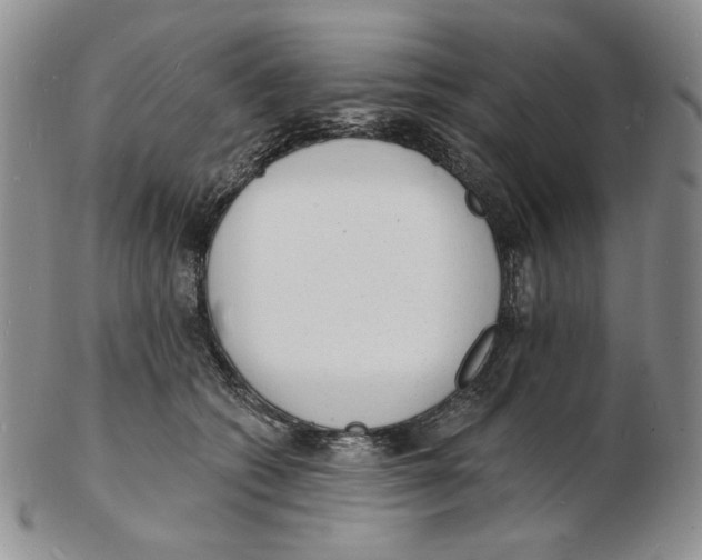 X0000102230562200808221310