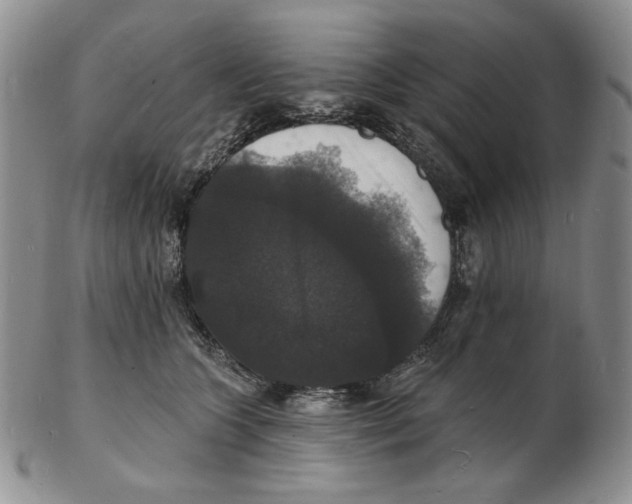 X0000102230563200808221310