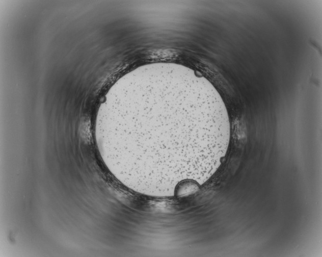 X0000102230564200808221310
