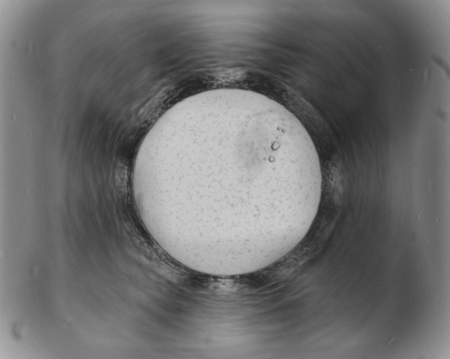 X0000102230565200808221310