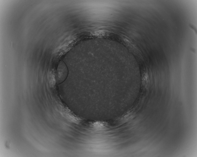 X0000102230566200808221310