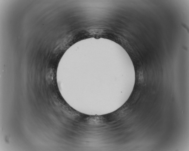 X0000102230567200808221310