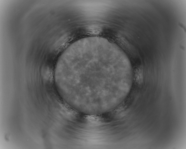 X0000102230568200808221310