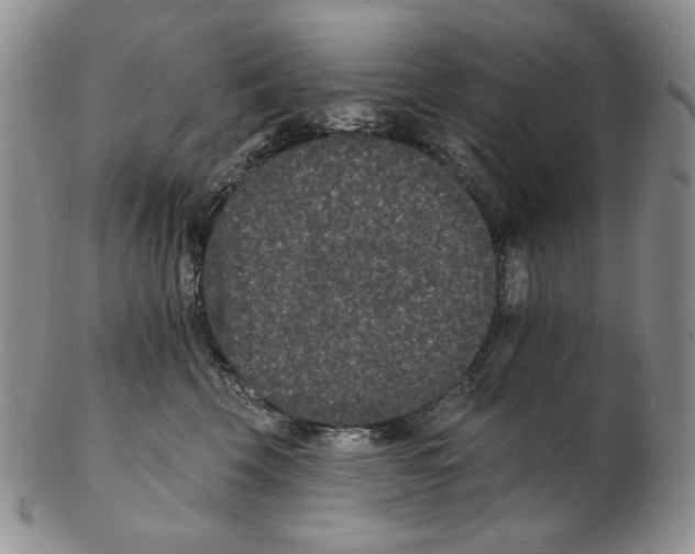 X0000102230569200808221310