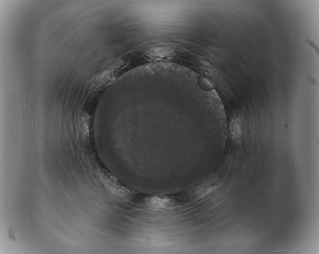 X0000102230570200808221310
