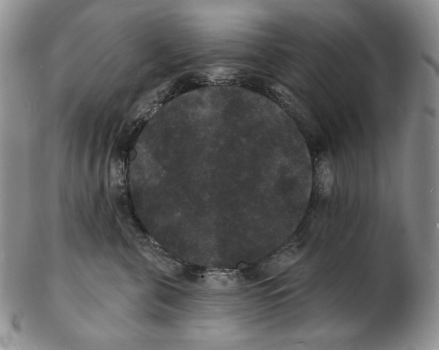 X0000102230571200808221310