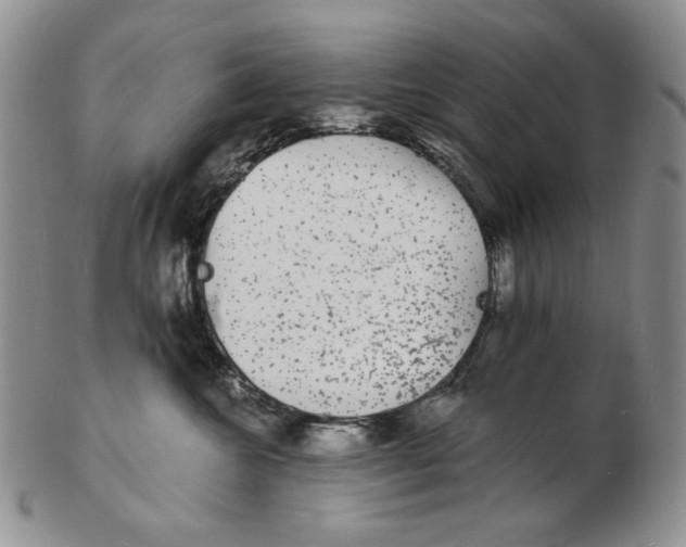 X0000102230572200808221311