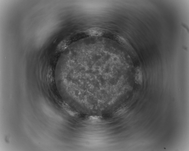 X0000102230573200808221311