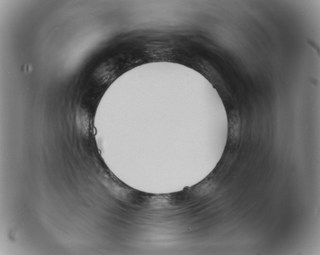 X0000102230574200808221311