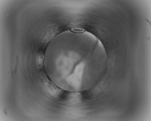 X0000102230576200808221311