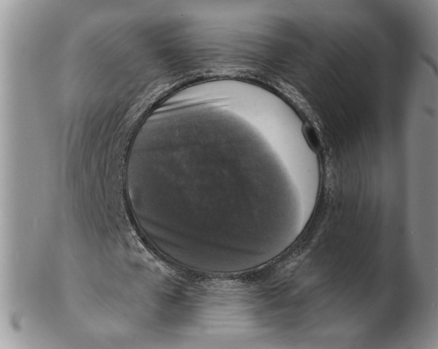 X0000102230577200808221310