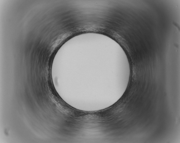 X0000102230578200808221310