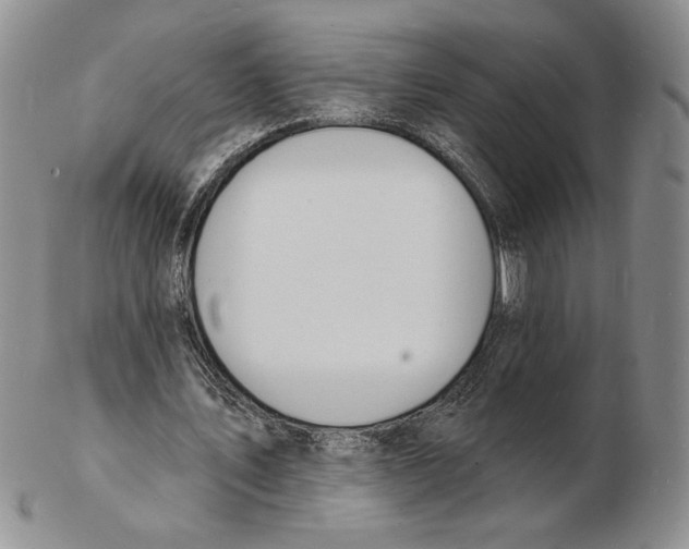 X0000102230579200808221310