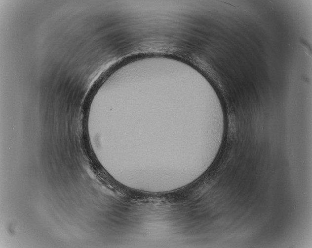 X0000102230580200808221310