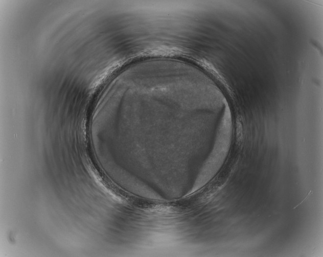 X0000102230581200808221310