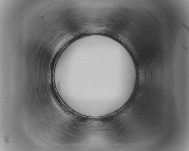 X0000102230582200808221310