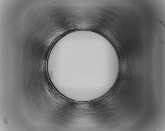 X0000102230583200808221310