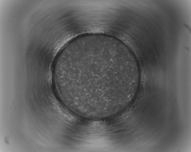 X0000102230584200808221310