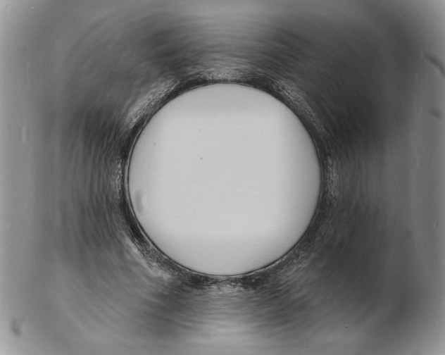 X0000102230586200808221310