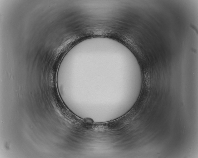 X0000102230587200808221310