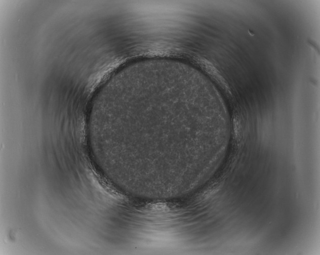 X0000102230588200808221310