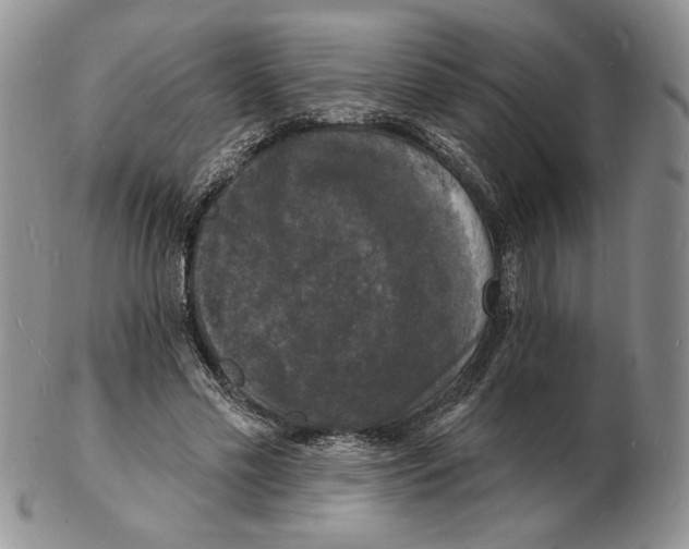 X0000102230589200808221310