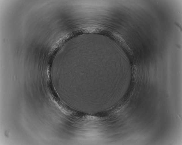 X0000102230590200808221310