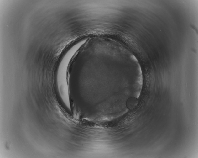 X0000102230592200808221310