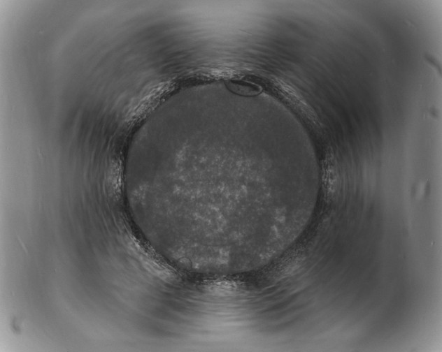 X0000102230593200808221310