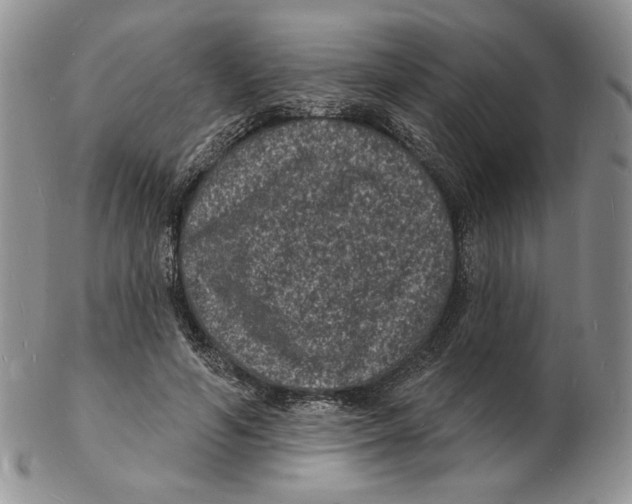 X0000102230594200808221310