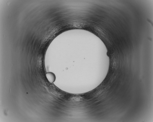 X0000102230595200808221310