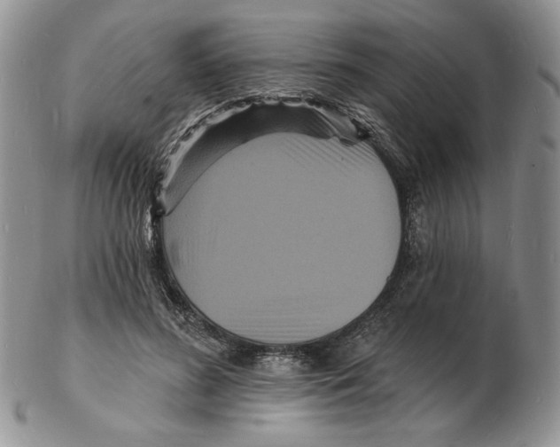 X0000102230596200808221310