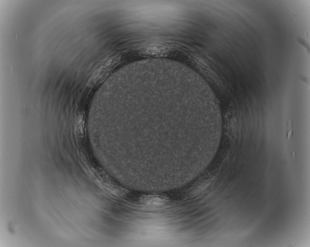 X0000102230597200808221310