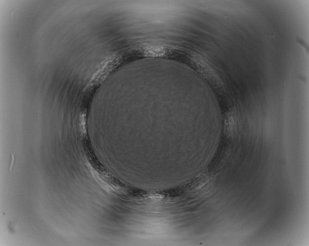 X0000102230598200808221310