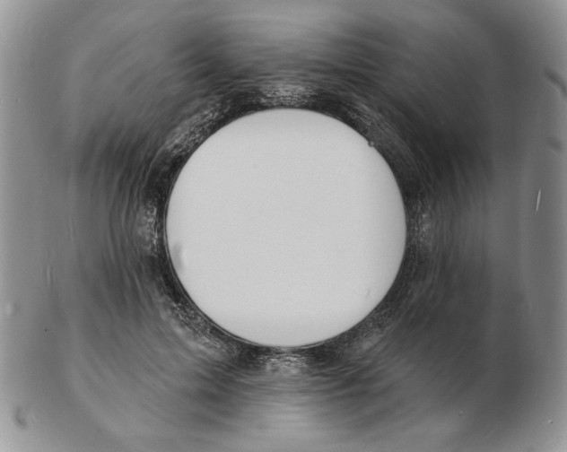 X0000102230599200808221310