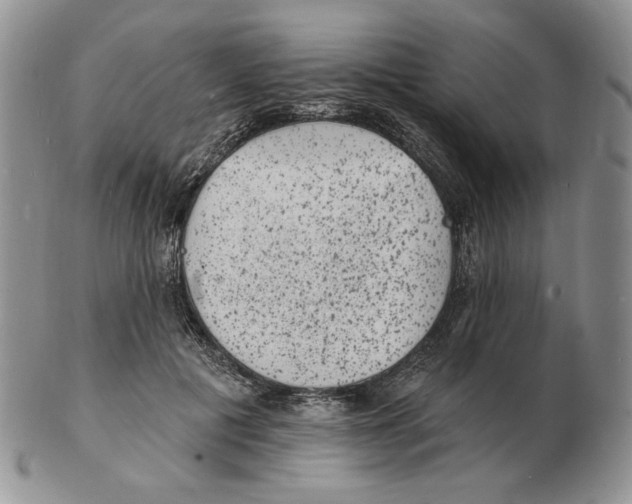 X0000102230601200808221310