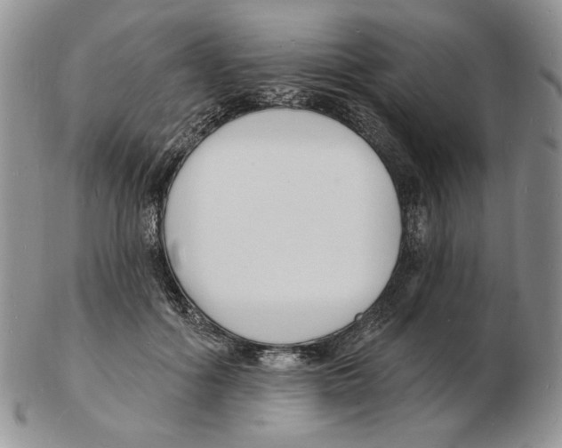 X0000102230602200808221310