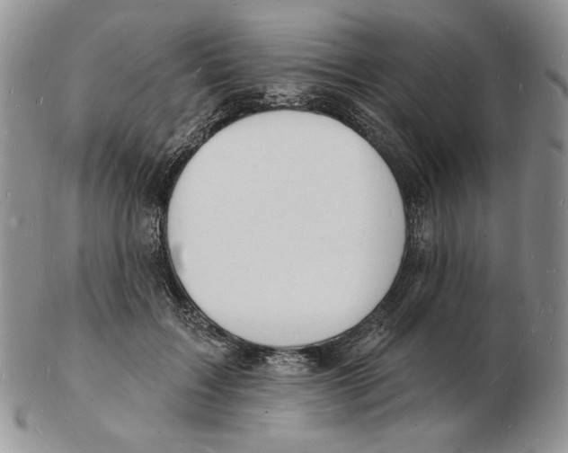 X0000102230603200808221310