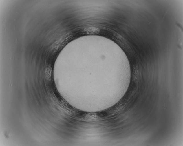 X0000102230604200808221310