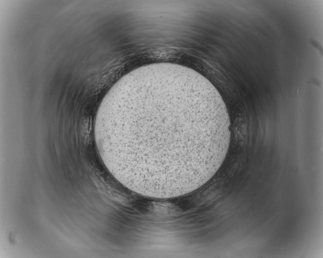 X0000102230605200808221310