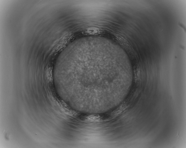 X0000102230606200808221309