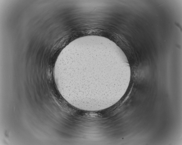 X0000102230607200808221309