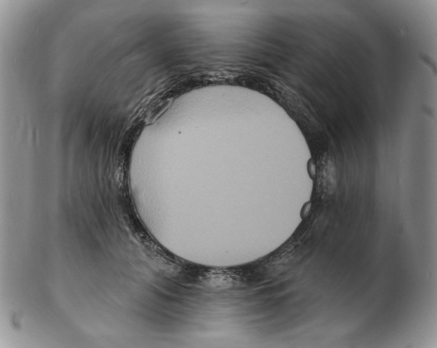 X0000102230608200808221309