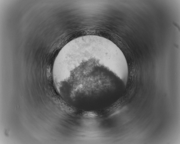 X0000102230610200808221309